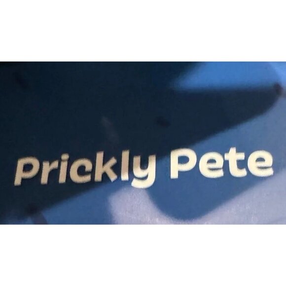 Bark Box Prickly Pete Dog Toy - Picture 2 of 3